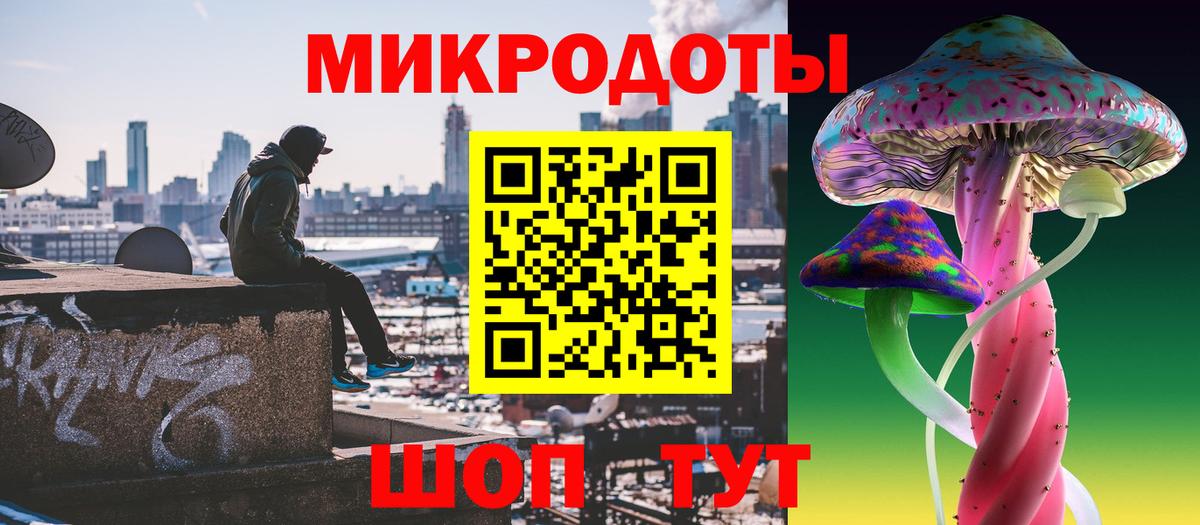что такое наркотик  Вход с VPN  Камышлов  Галлюциногенные грибы Psilocybe 